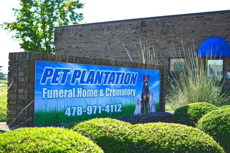 pet plantation 768x510