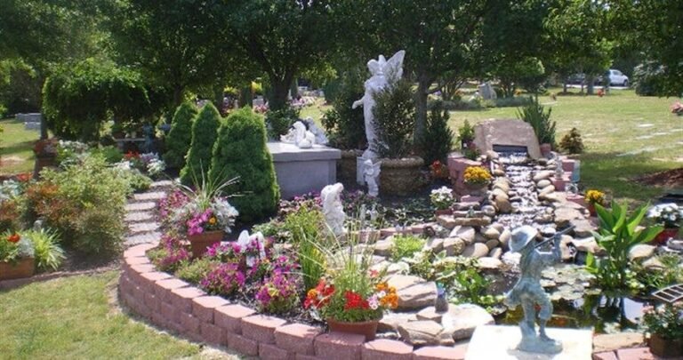 pet angel.jpg 768x405