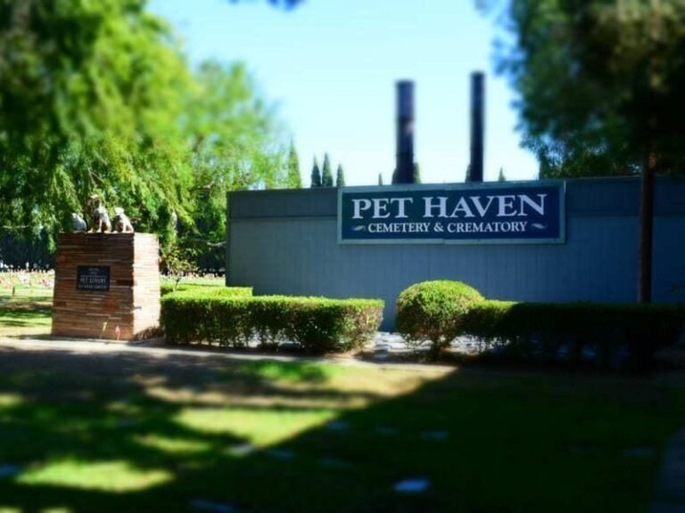pet haven2 768x576